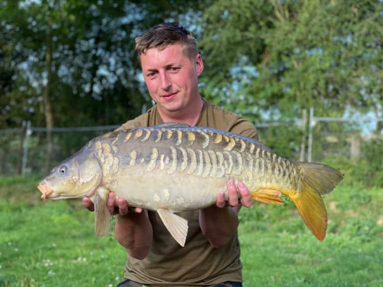 Person holding a large mirror carp outdoors.