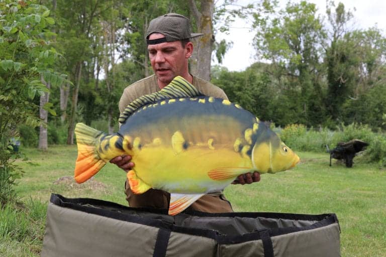 Man holding large colourful fish outdoors.