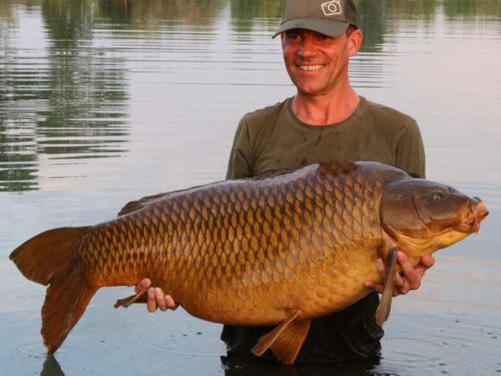 Smiling angler holds large carp in water