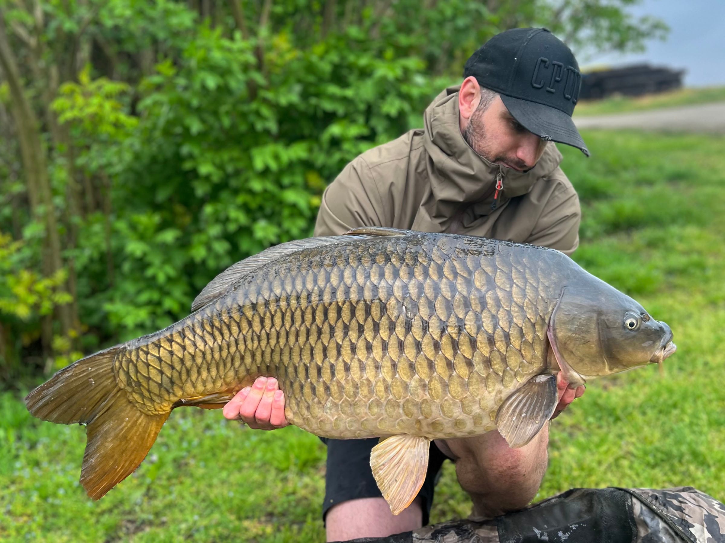 Man holding large carp fish outdoors.