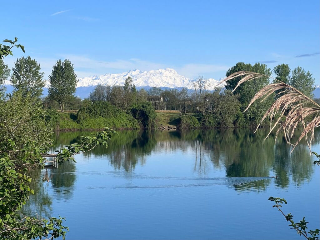 Serene lake with trees and snowy mountains.