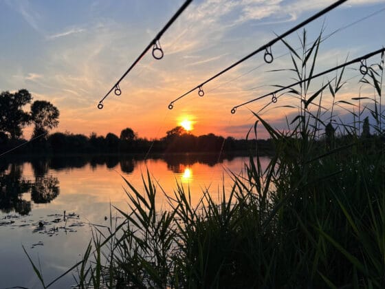 Fishing rods at sunset over tranquil lake.